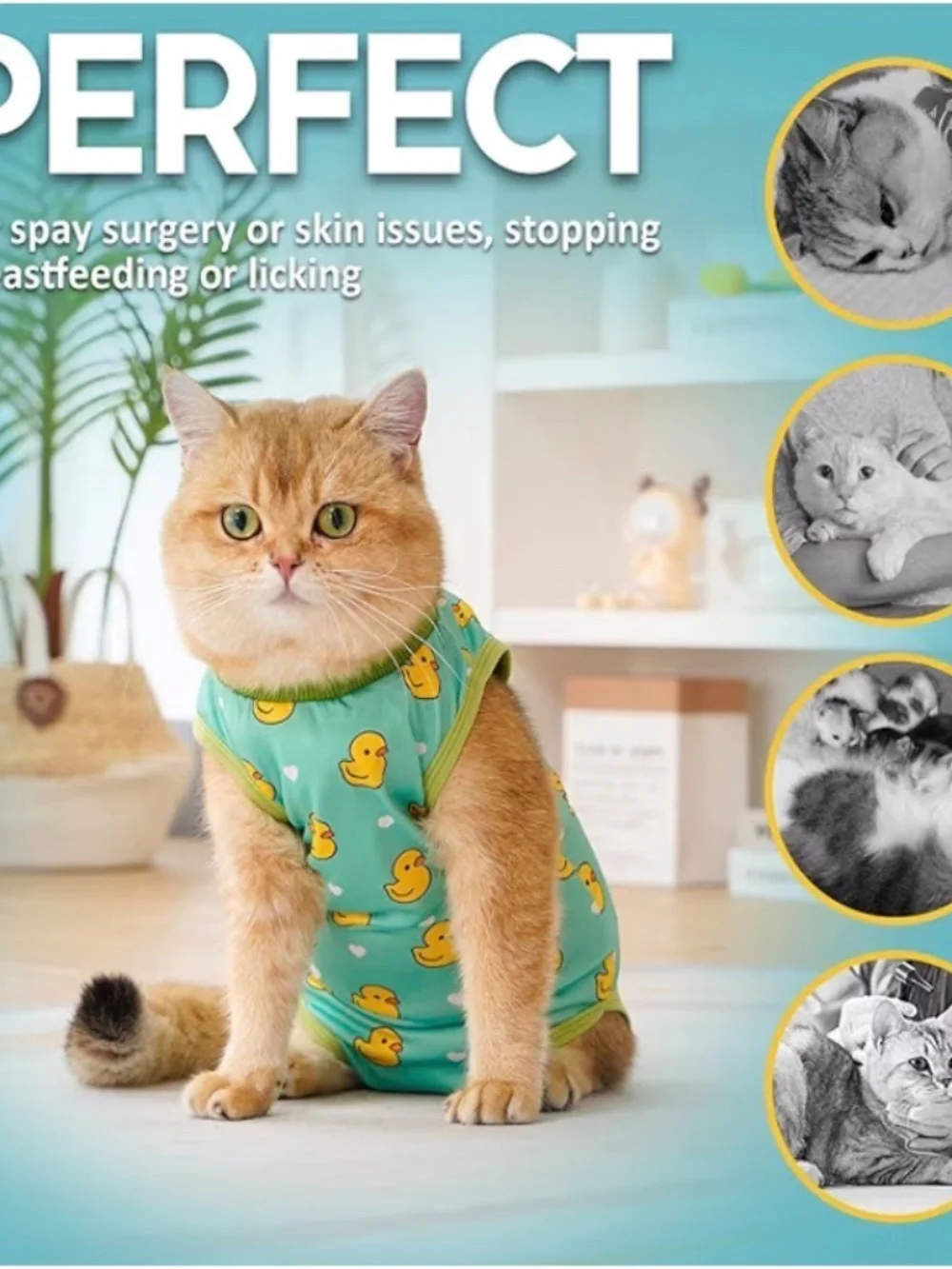 Cat Recovery Suit